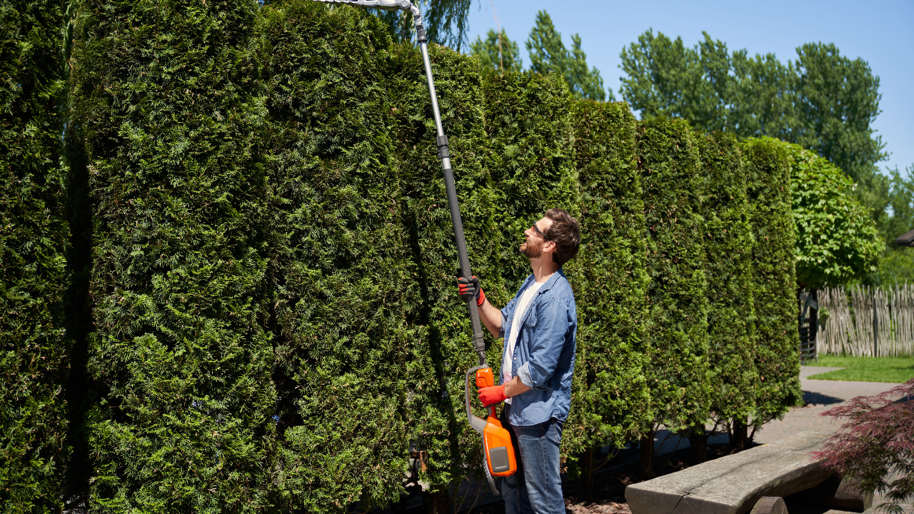 how much does a tree trimmer make