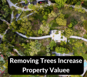 Removing Trees Increase Property Value