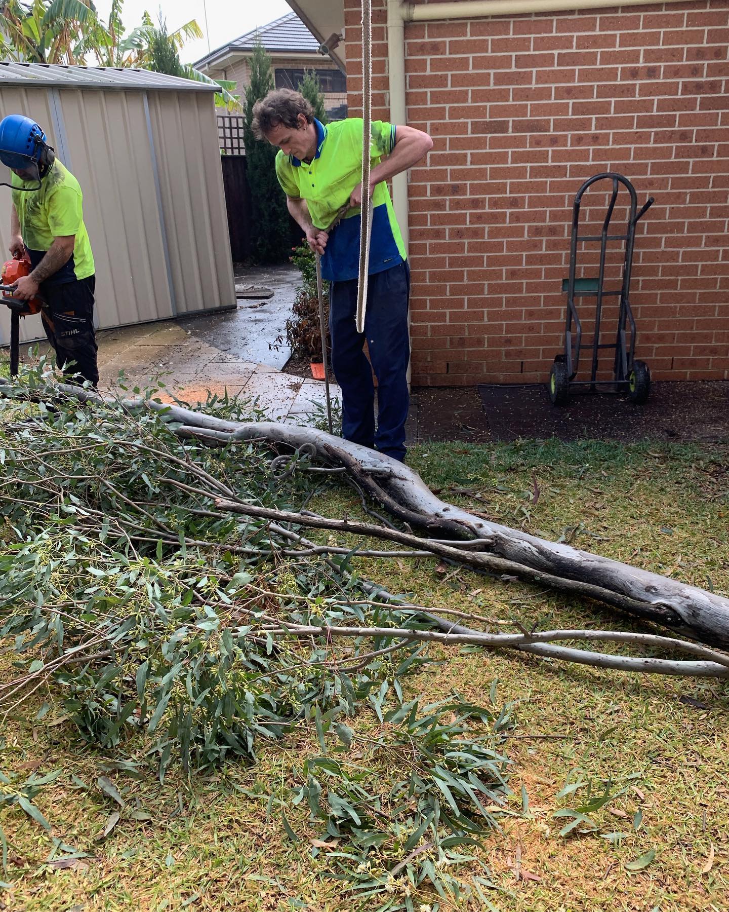 What is Stump Grinding: Exposing the Mysteries