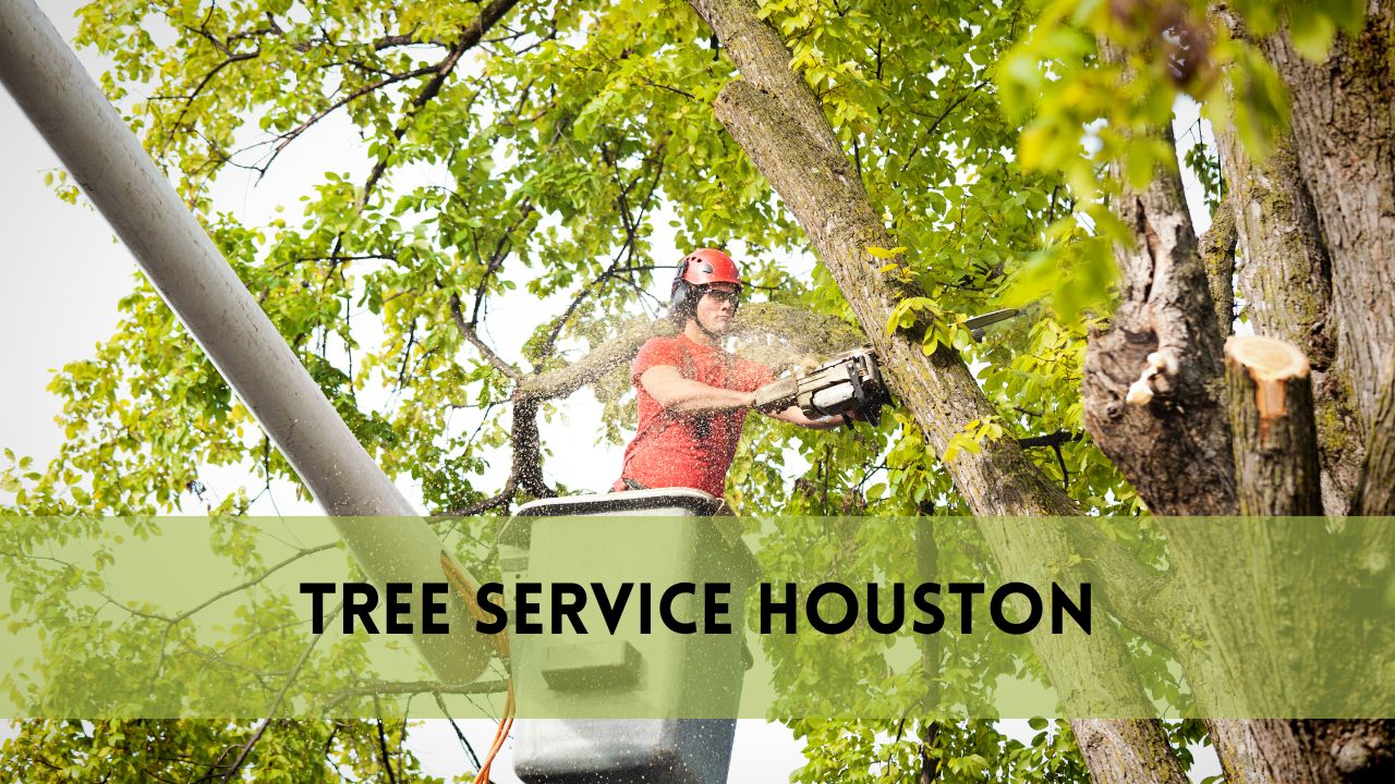 Tree Service Houston