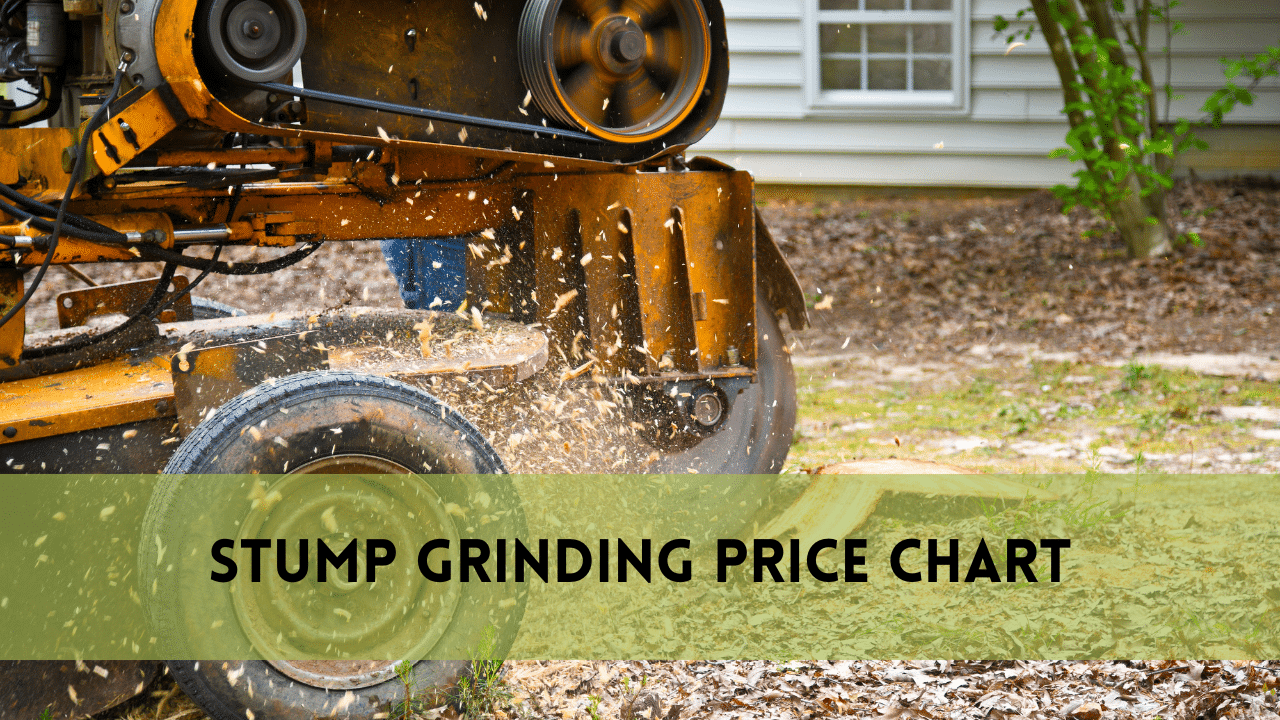Stump Grinding Price Chart | Detailed Overview | 2025 Data