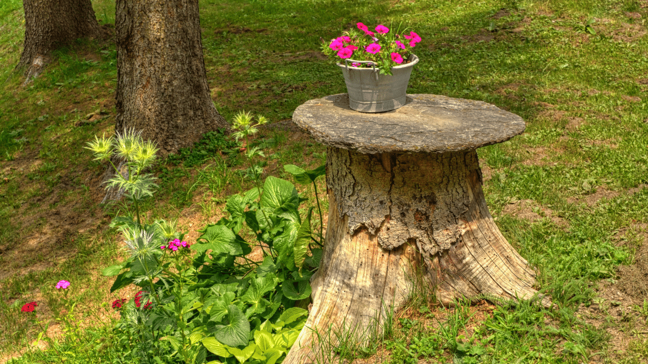 Tree stump decoration ideas