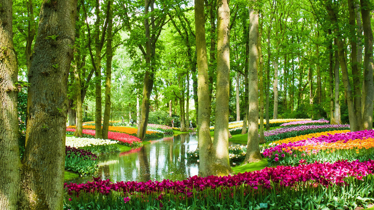 landscaping ideas around tree roots