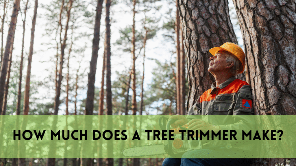 how much does a tree trimmer make