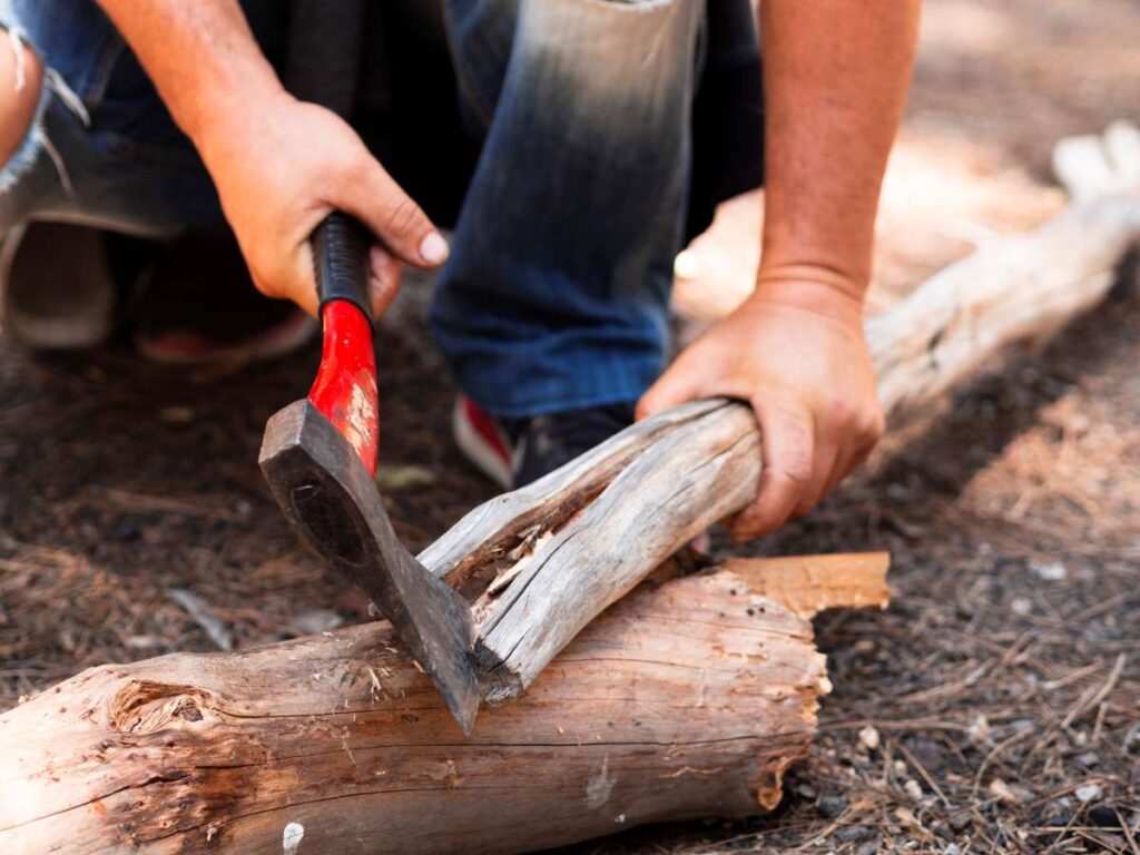 How to Repair Tree Bark Damage from Deer?
