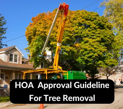 Do I Need HOA Approval to Remove a Tree?