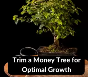 How to Trim a Money Tree