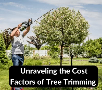 Unraveling the Cost Factors: Why Tree Trimming Can Be Pricey