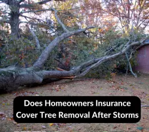 Does Homeowners Insurance Cover Tree Removal After Storms
