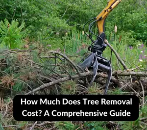 How Much Does Tree Removal Cost A Comprehensive Guide