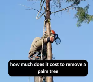 how much does it cost to remove a palm tree