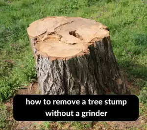 how to remove a tree stump without a grinder