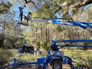 How Long Does It Take to Grind a Stump