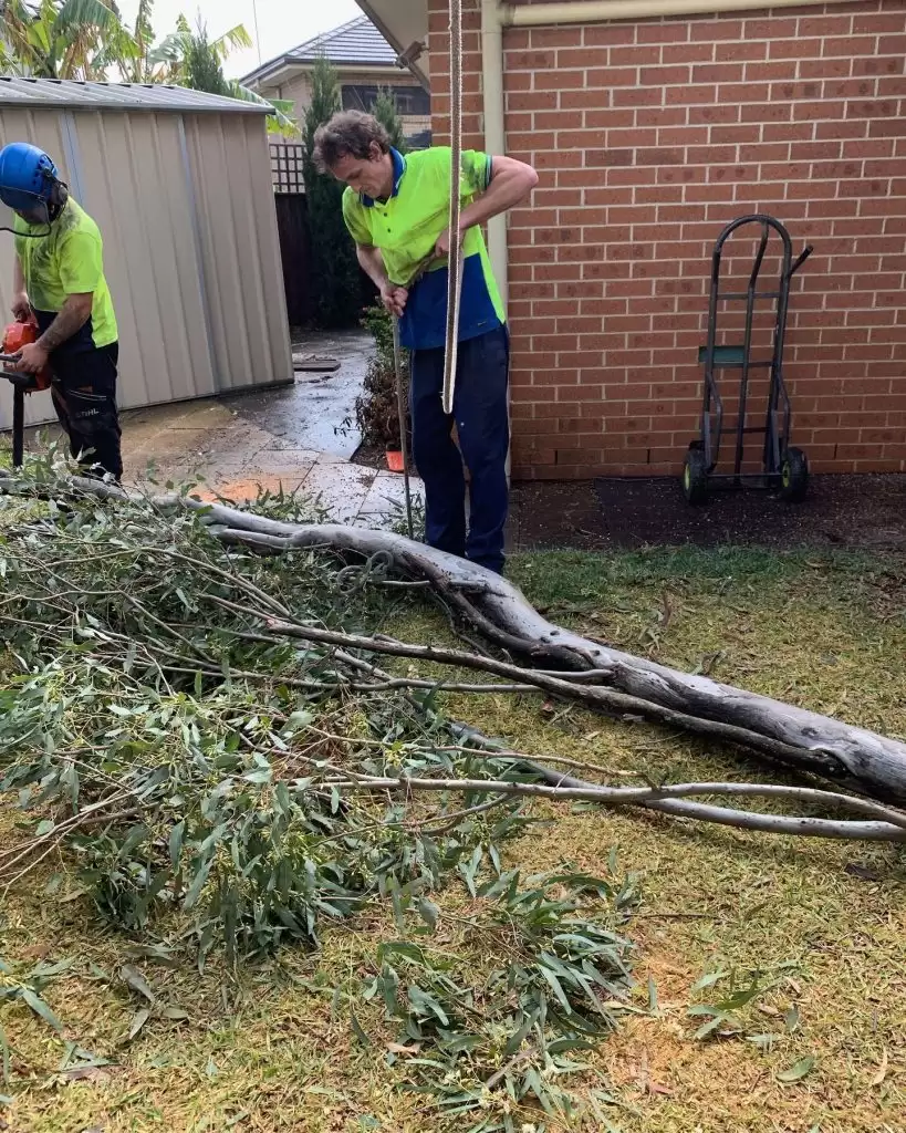 what is stump grinding