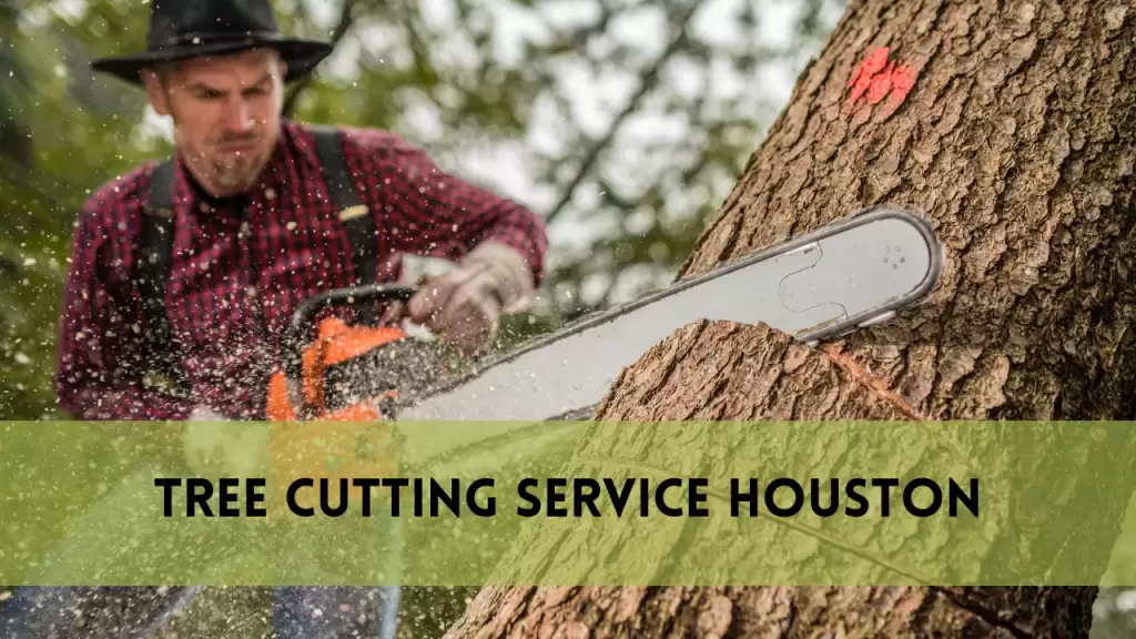 tree cutting service houston