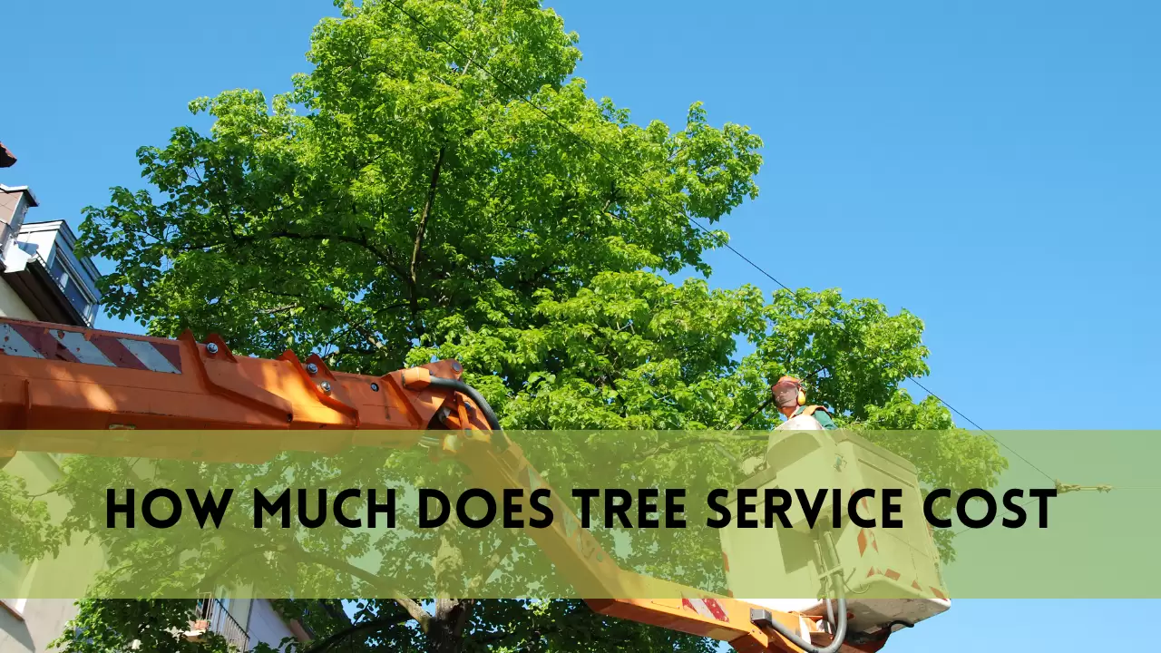 How Much Does Tree Service Cost