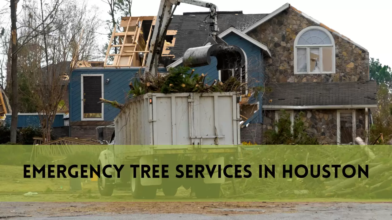 Emergency Tree Services in Houston