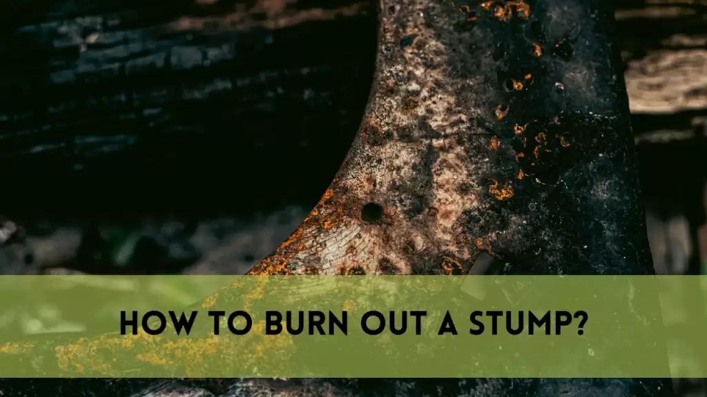 how to burn out a stump