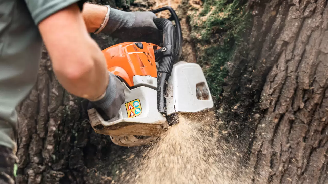 How to Start a Tree Service Business